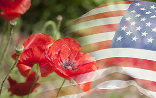 American Flag with Red Poppy Flower