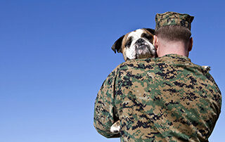 Military Man and English Bulldog