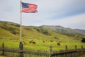 Read the full article: Texas Beef Helped Patriots Win America